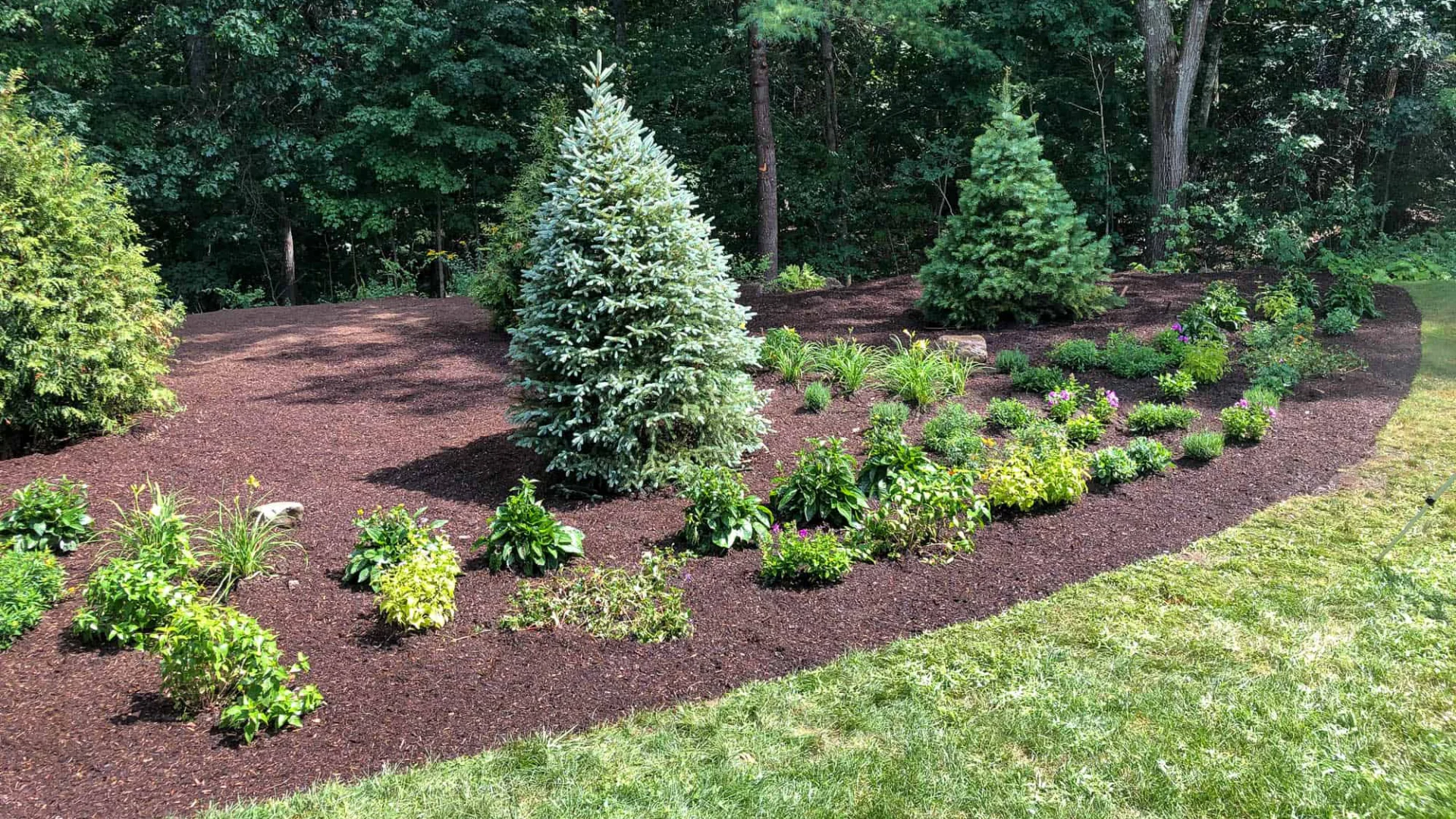 H&H Backyard Garden Bed