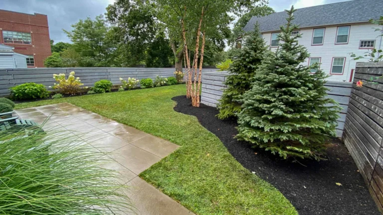 H&H Backyard Landscape Redesign