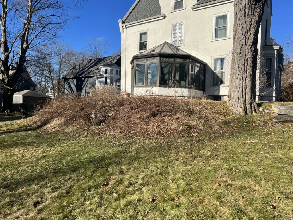 Walnut Before3 - H&H Landscape Management - Natick, MA