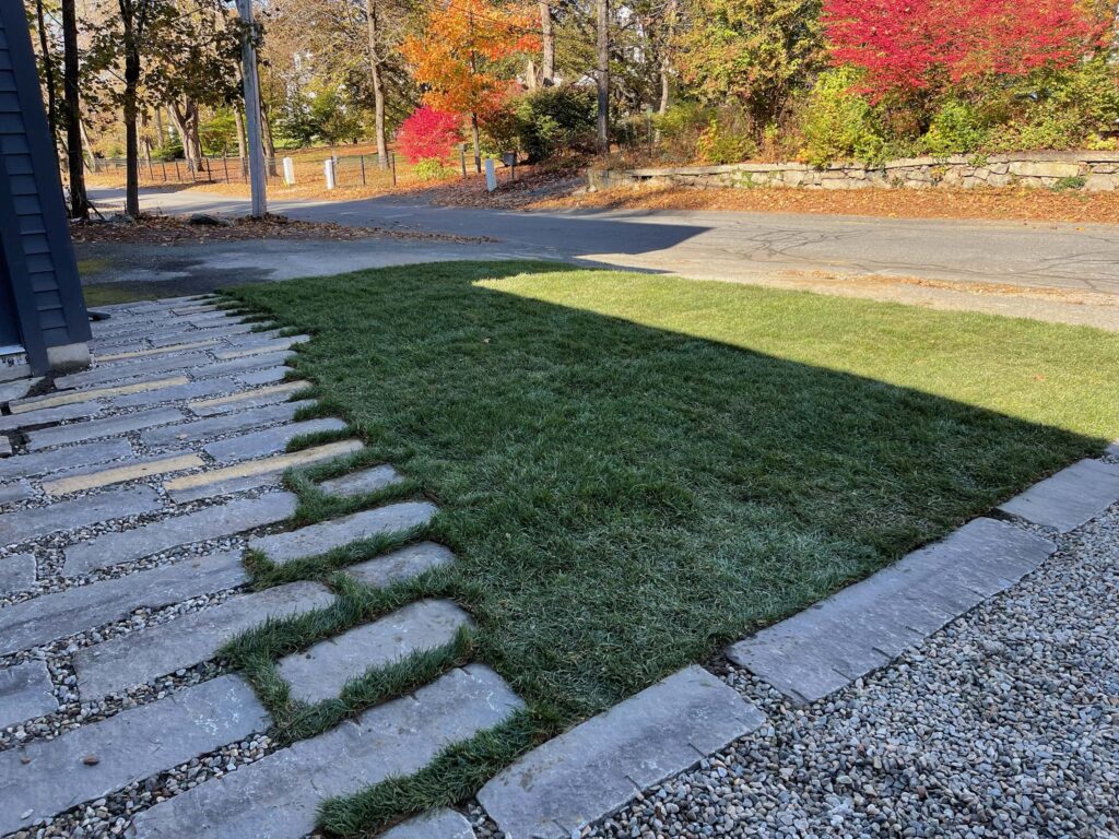 Walnut Complete1 - H&H Landscape Management - Natick, MA