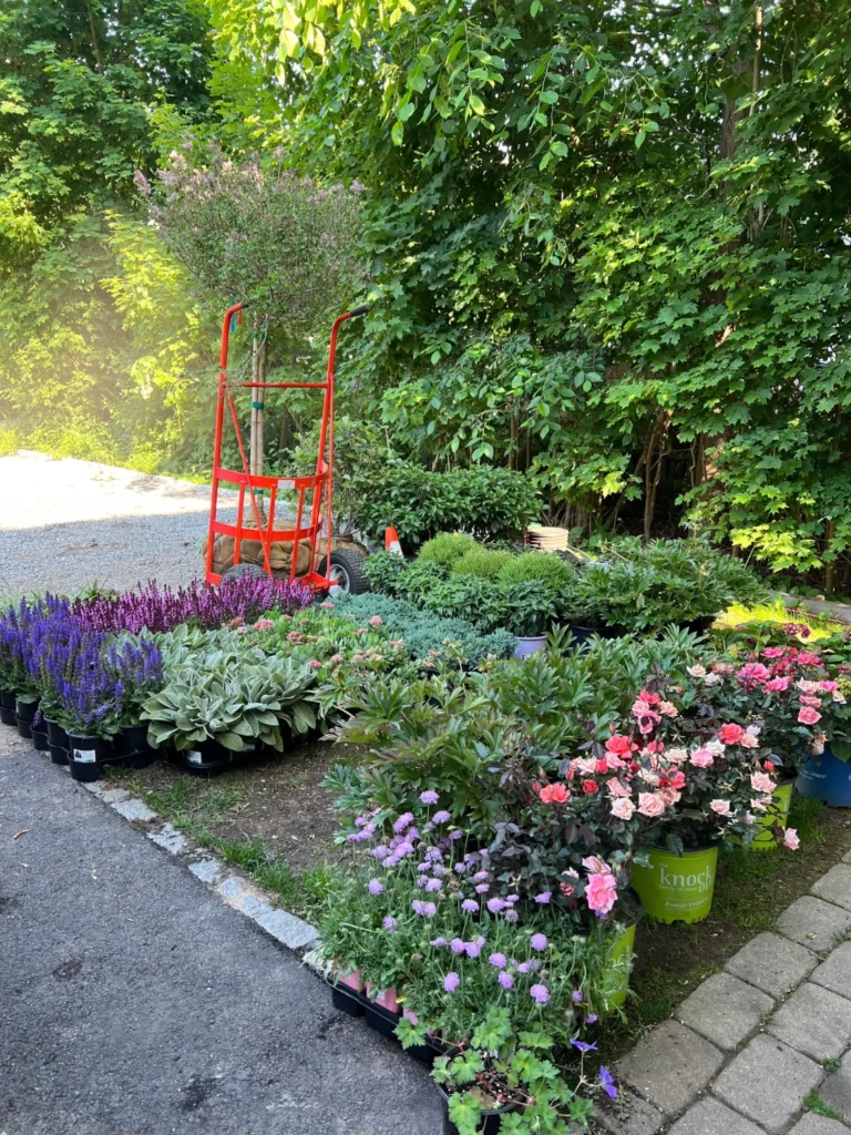 Landscape maintenance in MetroWest and Greater Boston by H&H Landscape