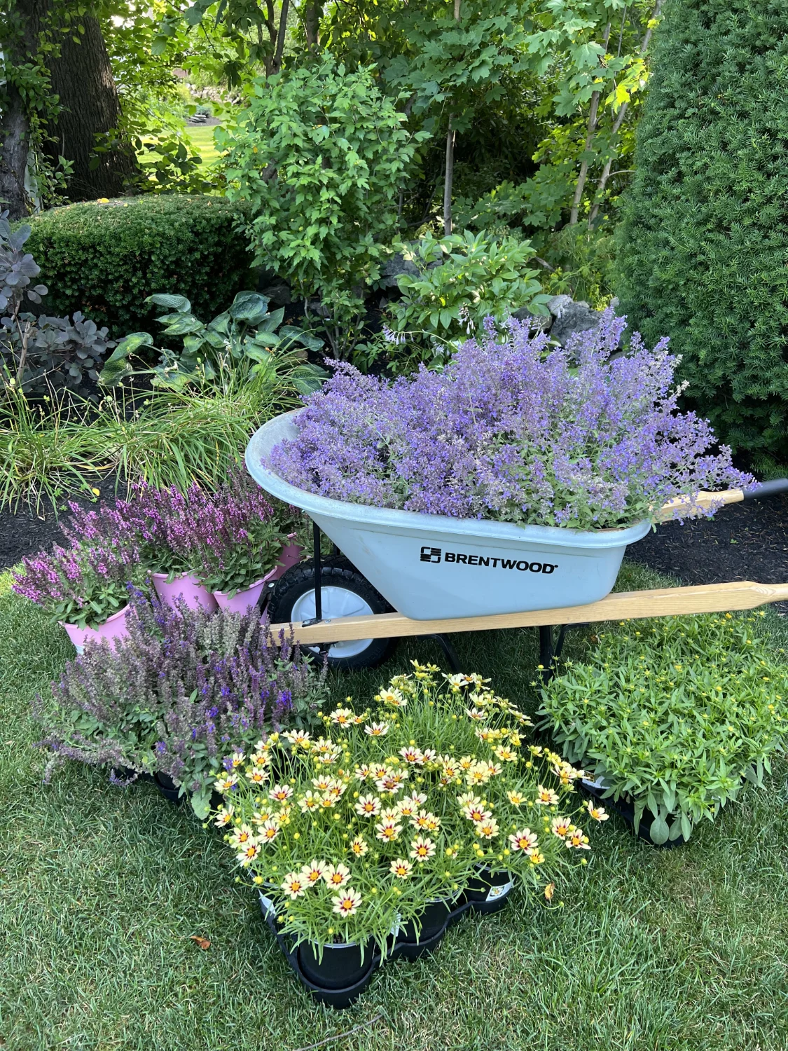 maintenance 06 - H&H Landscape Management - Natick, MA