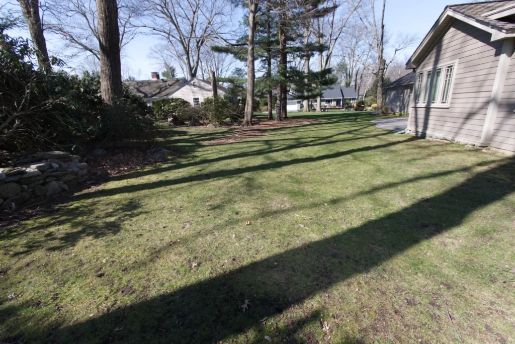 Rustic Fire Pit & Japanese-Inspired Landscape Transformation in Shrewsbury, MA