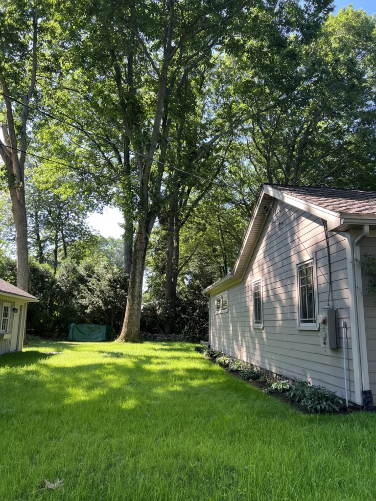Rustic Fire Pit & Japanese-Inspired Landscape Transformation in Shrewsbury, MA