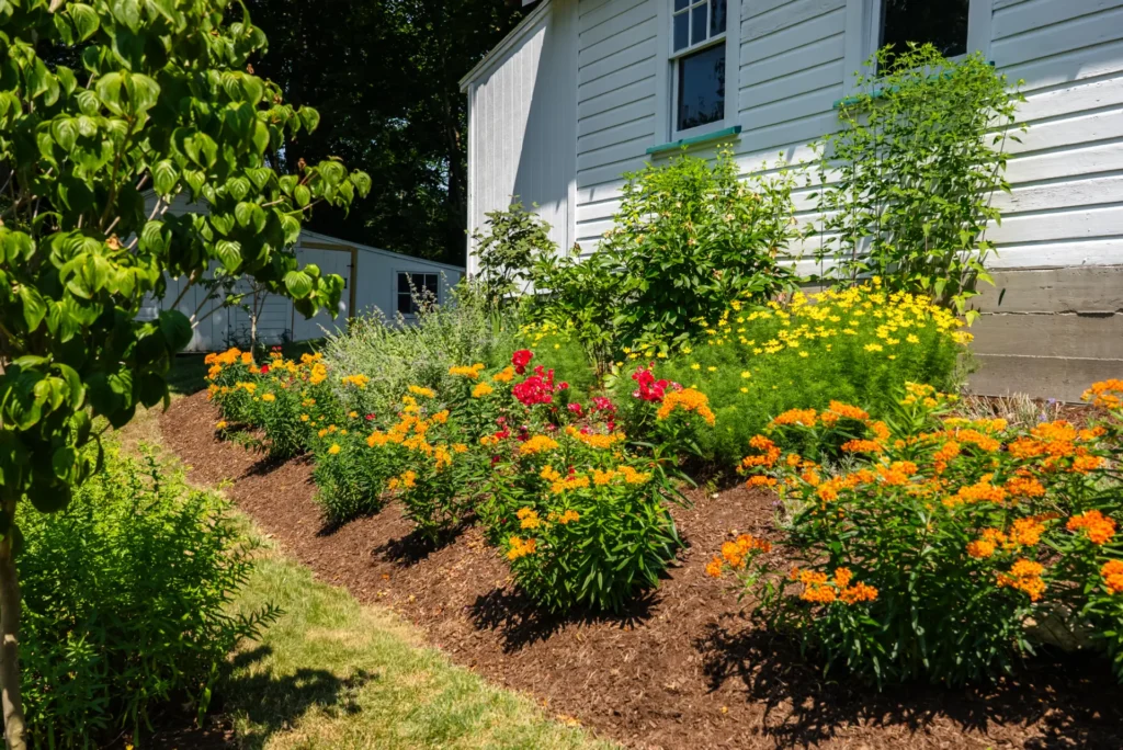 DSC04166 - H&H Landscape Management - Natick, MA
